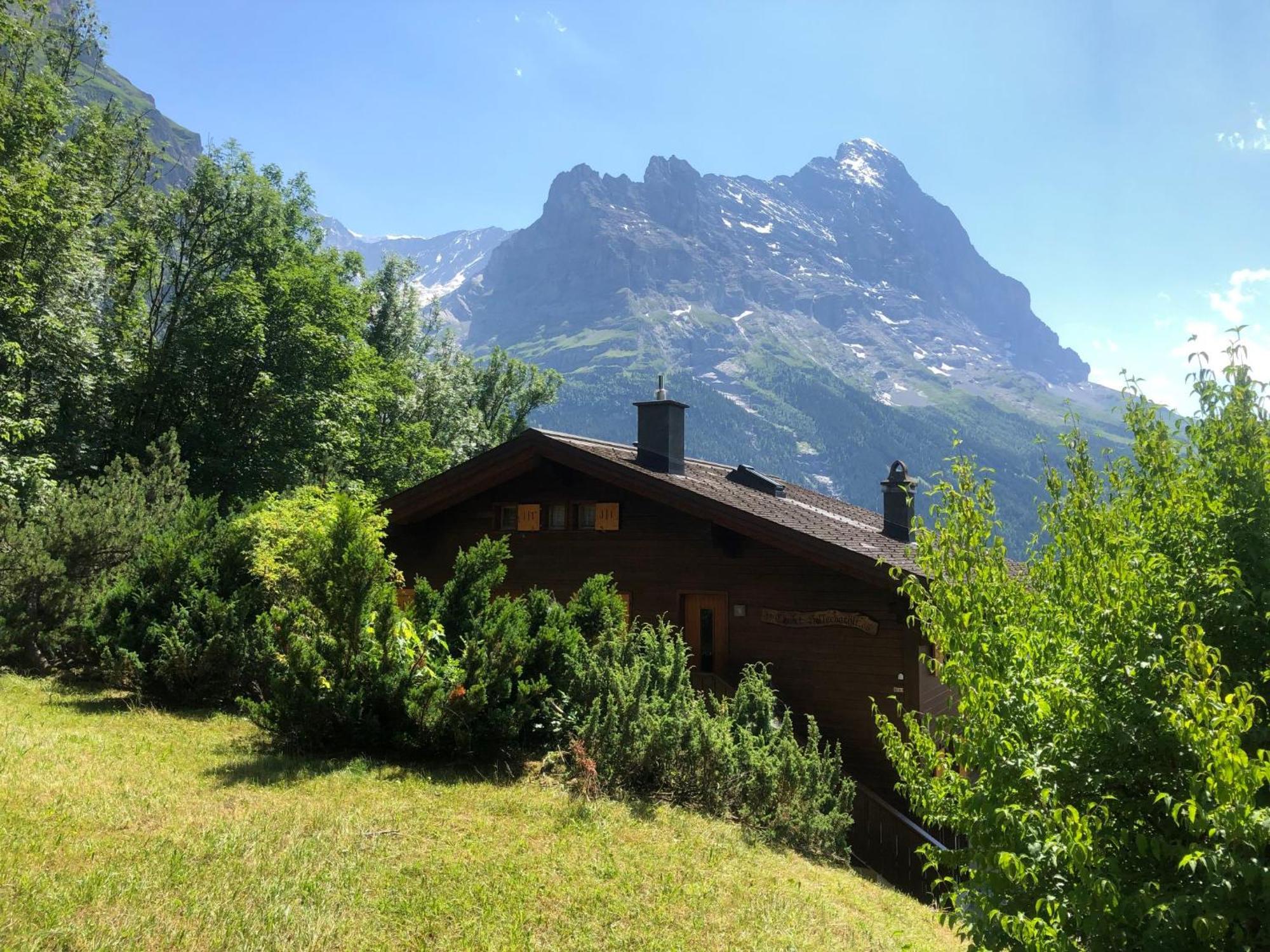 Apartment Chalet Sunneblick By Interhome Grindelwald Exteriör bild